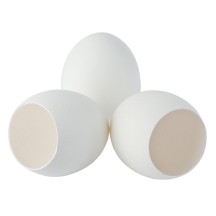 Coquilles d'oeuf blanches vides