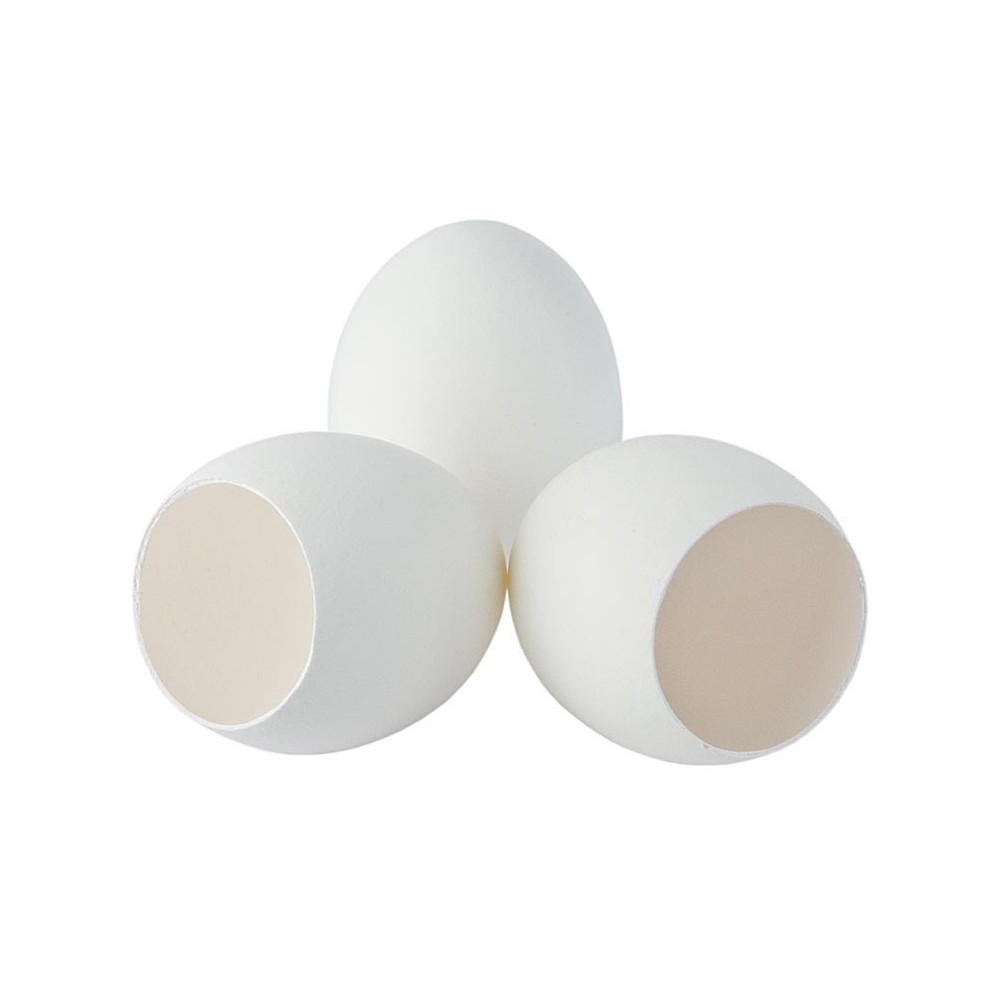 Coquilles d'oeuf blanches vides
