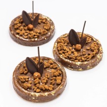 Moule silicone 400x600 24 tartes rondes diamètre 90 15 hauteurmm